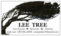 Lee Tree