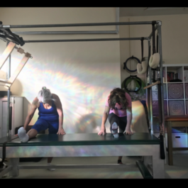 Gallery Image et.png