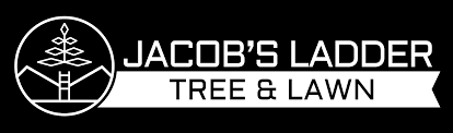 Jacob's Ladder Tree Tech 