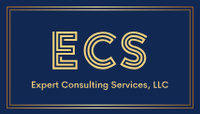 Expert Consulting Services, LLC
