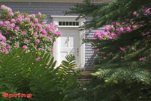 Gallery Image 3a%20-%20Spring%20-%20b%20-%20.jpg