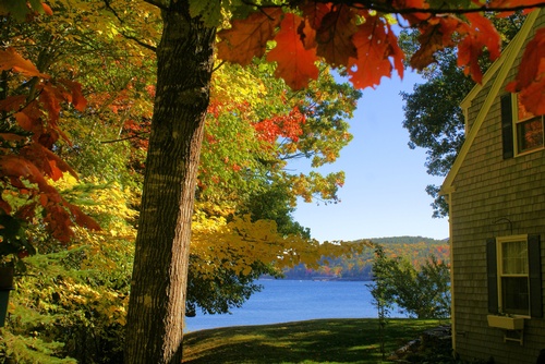 Gallery Image 3c%20-%20Fall.jpg