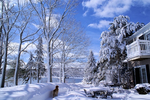 Gallery Image 3d%20-%20Winter%20-%20.jpg