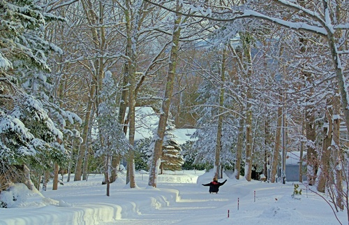 Gallery Image 3d1%20-%20.jpg
