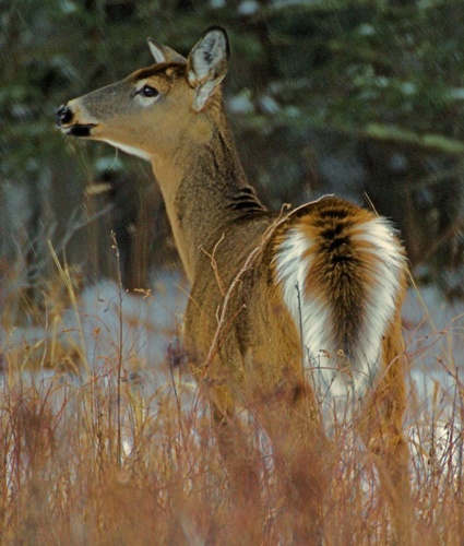 Gallery Image 4d%20-%20W9.jpg