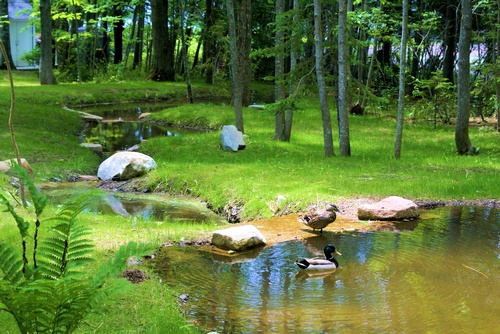 Gallery Image 4h%20-%20Summer.jpg