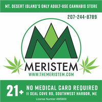 Meristem