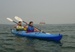 Coastal Kayaking Tours