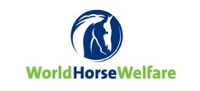 World Horse Welfare