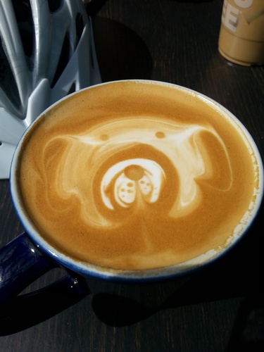 Dog coffee art