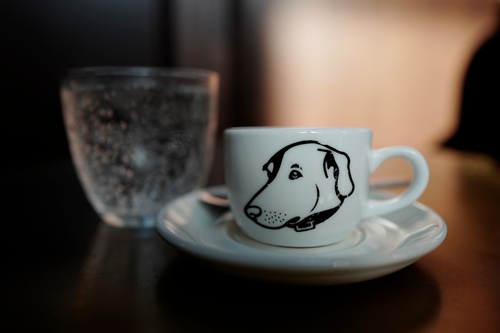 Dog on a  coffee mug