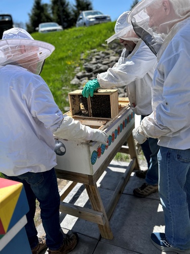 Bee Keeping 