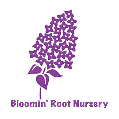 Bloomin' Root Nursery