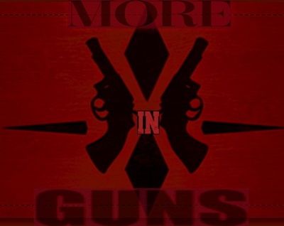 More in Guns LLC