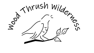 Wood Thrush Wilderness LLC