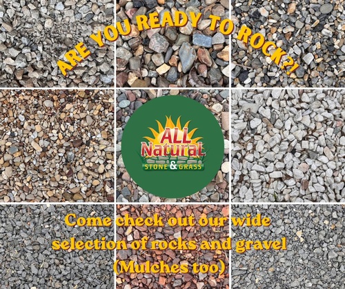 Gallery Image 704653148_1844539746827603_2948263079868054155_n.jpg