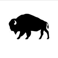 Black Bison Barbershop 
