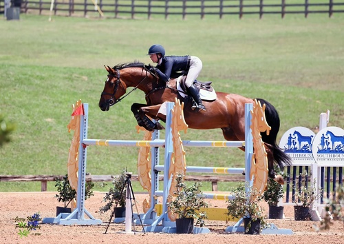 Gallery Image 699997604_1539423541305008_5421220078866737669_n.jpg