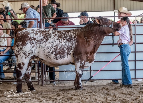 Gallery Image 671578124_1589108726551146_254780992199548683_n.jpg