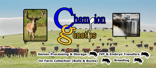 Champion Genetics