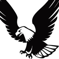 Eagle Security Systems, Inc