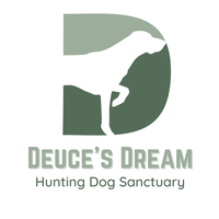 Deuce's Dream Hunting Dog Sanctuary