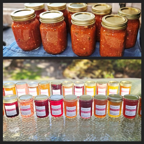 Gallery Image 607325765_122155600484814802_8454399106259290648_n.jpg