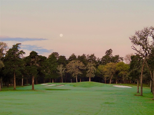 Gallery Image 484037538_675322654833059_803604947378984306_n.jpg