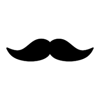 STACHE JUNK REMOVAL AND PROPERTY SERVICES