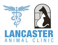 LANCASTER ANIMAL CLINIC