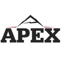 Apex Insurance Consultants