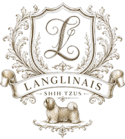 Langlinais Shih Tzus