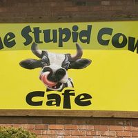 The Stupid Cow Cafe of Hayden
