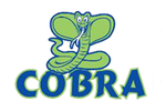COBRA Pools & Spas Inc. 