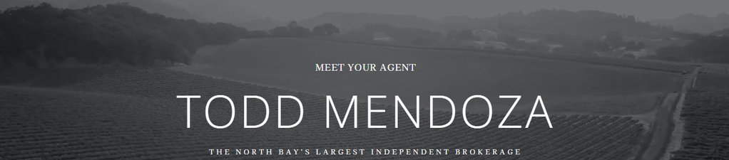 W Real Estate / W Commercial - Todd Mendoza