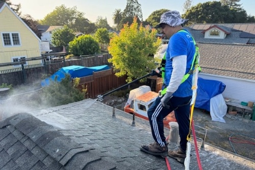 Gallery Image Ferretti%20Softwash%20Roof%20Cleaning.jpg