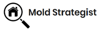 Infinitely Crafted LLC dba Mold Strategist