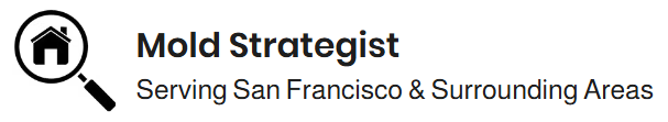 Infinitely Crafted LLC dba Mold Strategist