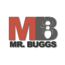MR. BUGGS