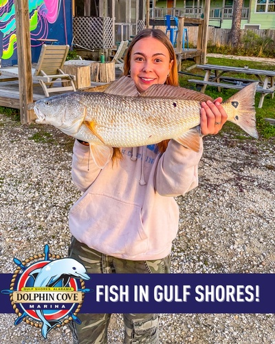 Gallery Image DCM%2025.jpg