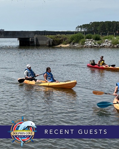 Gallery Image DCM%206.jpg