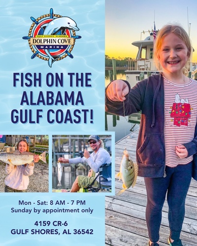 Gallery Image DCM%208.jpg