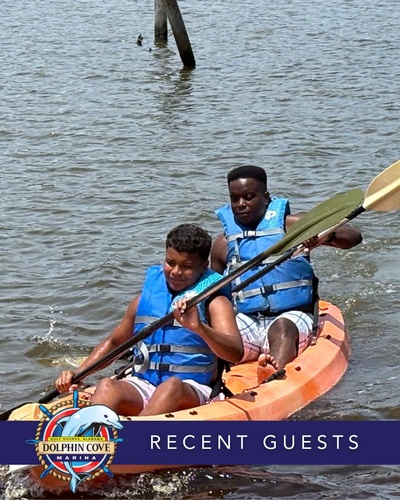 Gallery Image DMC%205.jpg