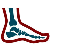 Dr. Steven A. Bernstein DPM, FACFAS  Foot and Ankle Surgeon