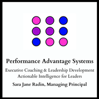 Performance Advantage Systems