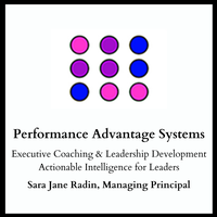 Performance Advantage Strategies 