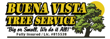 Buena Vista Tree Service