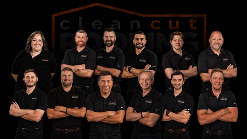 Meet the team!