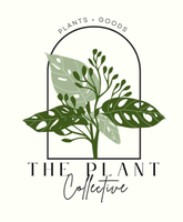 The Plant Collective 