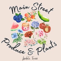 Main Street Produce & Plants 